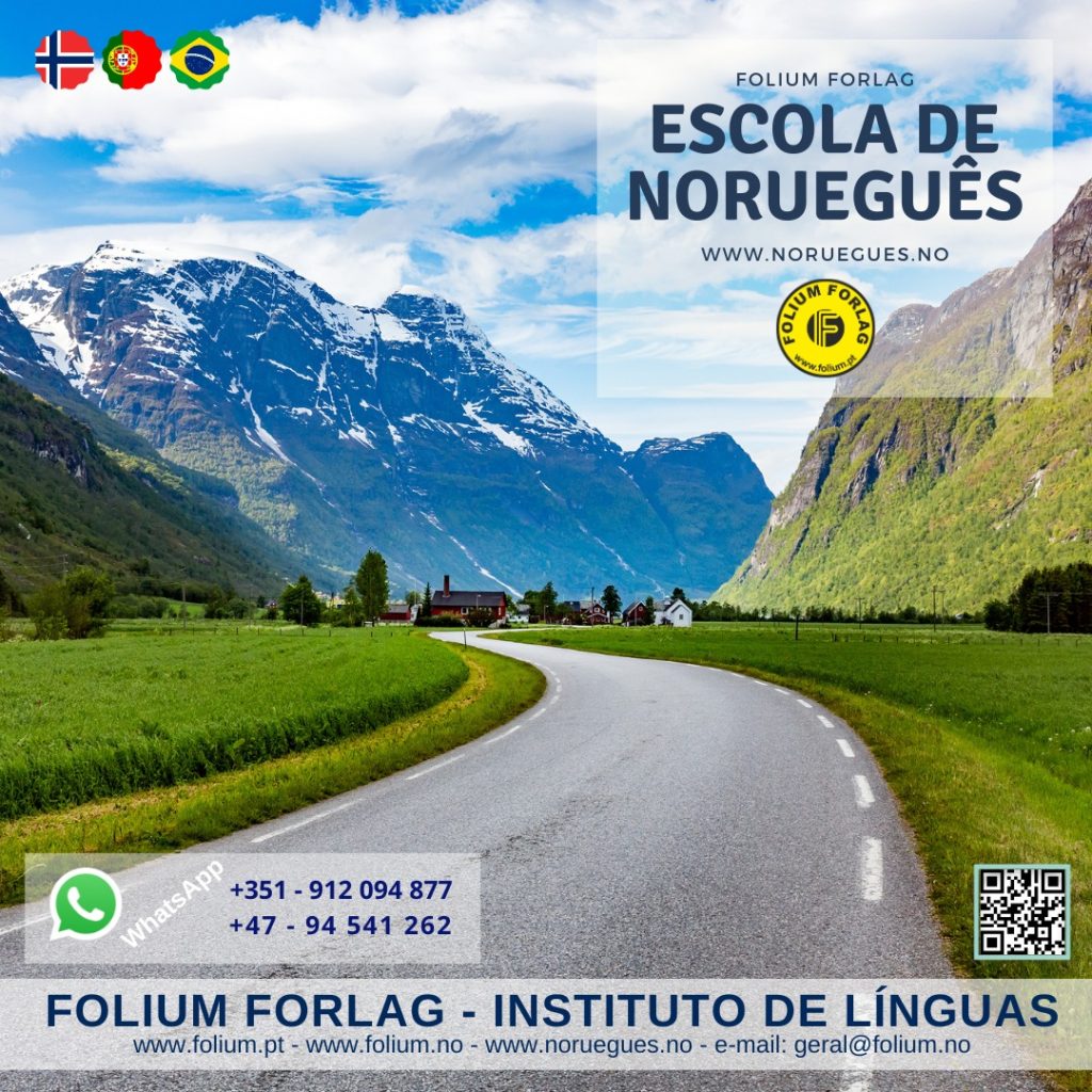 3 - Aulas particulares de norueguês online para 2 alunos (pacote com o mínimo de 10h)